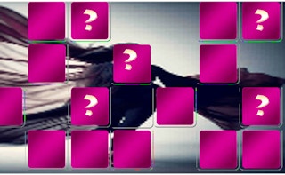 Image Aerial Silk Artist Memory Match