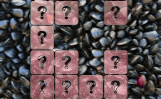 Image Clam Memory Match