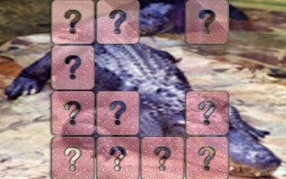 Image Crocodile Memory Match