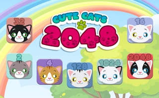 Image Cute Cats 2048